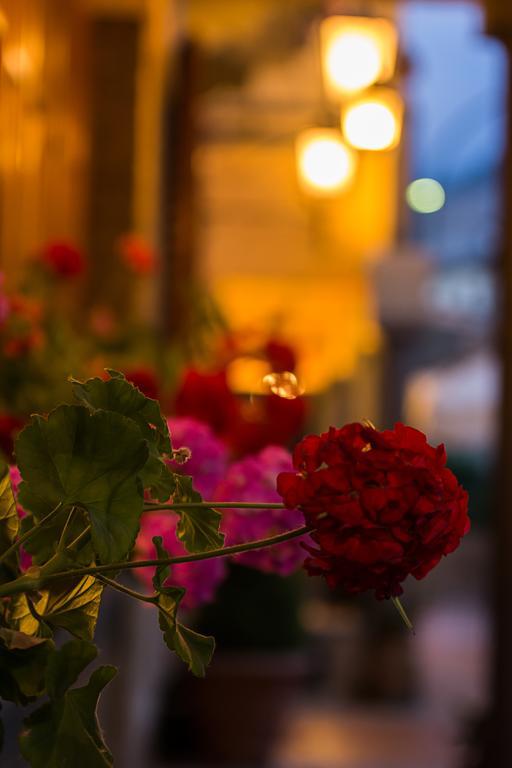 Hotel La Rosa Ronta Dış mekan fotoğraf